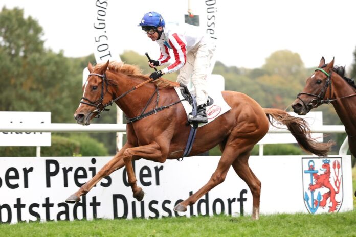 Franky's Dream siegt unter Adrie de Vries