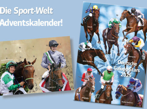 GOL_Adventskalender_2025