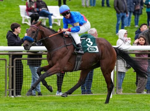 Glady Tiger (Archiv)