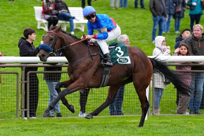 Glady Tiger (Archiv)