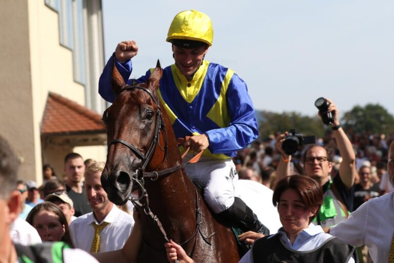 Goliath nach dem Sieg im Grossen Preis von Baden