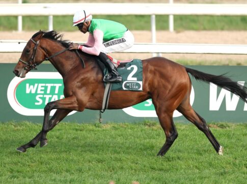 Favorit Gostam gewinnt den Winterfavoriten wie ein Ausnahmepferd Gostam siegt unter Eduardo Pedroza im Wettstar.de - Preis des Winterfavoriten