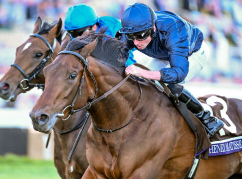 Henri Matisse Foto: Carlos Calo/Eclipse Sportswire/Breeders Cup