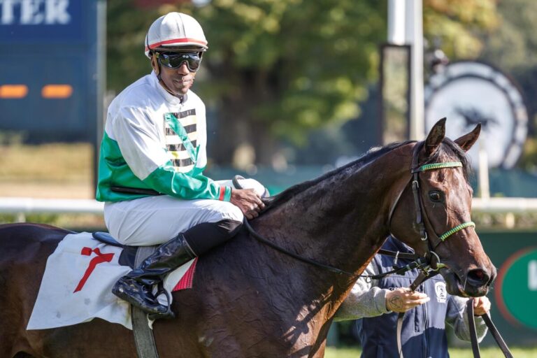 Reformationstags-Renntag in Halle mit Auktionsrennen und Garantie-Dreierwette