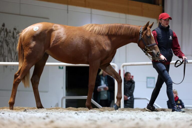 Fährhof und von Ullmann schlagen zum Ende zusammen zu