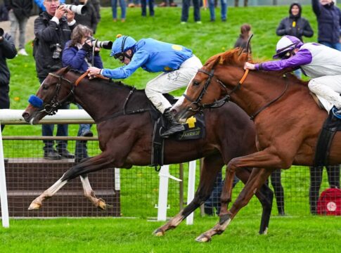 Kairos siegt unter Leon Wolff im Alson - Youngster Steher Cup, Listenrennen