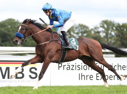 Kairos ist bereits zweifacher Sieger - darunter in einem Listenrennen