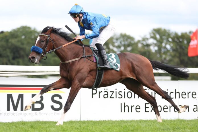 Kairos ist bereits zweifacher Sieger - darunter in einem Listenrennen