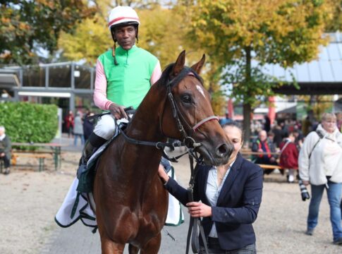 Gostam: Angegeben aber Nichtstarter - Winterpause für Winterfavoriten Gostam siegt unter Eduardo Pedroza im Wettstar.de - Preis des Winterfavoriten, Gr.3