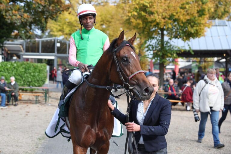 Gostam: Angegeben aber Nichtstarter – Winterpause für Winterfavoriten