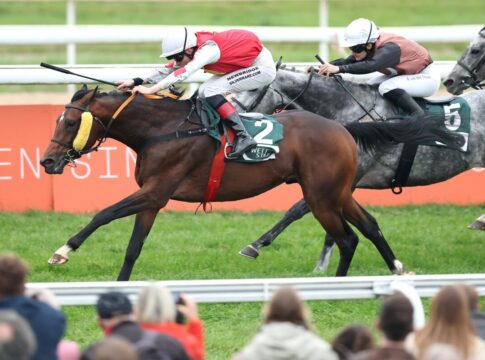 Lord Zaster siegt unter Sean Byrne