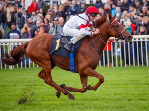 Lordano bei seinem Sieg im Silbernen Pferd 2023