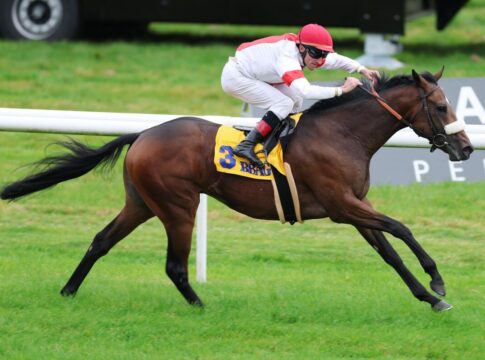 Loucas siegt unter Andrasch Starke im Ferdinand Leisten Memorial - BBAG Auktionsrennen