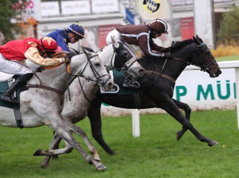 Otjiwarongo siegt unter Ines Lwe