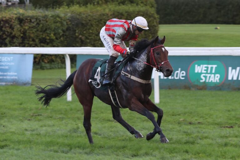 Handicapdebütant Nerio siegt beim Mayer-Debüt überlegen
