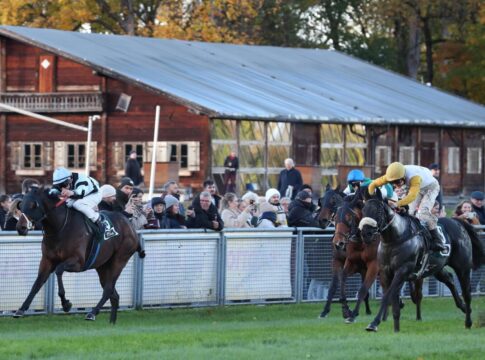 Powerstown siegt unter Michal Abik