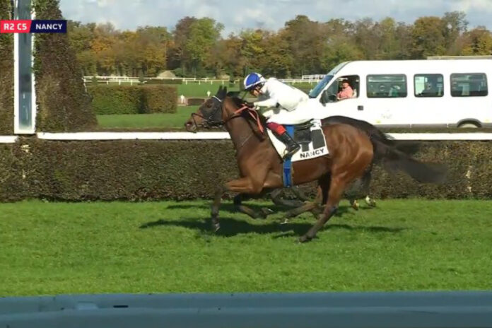 Miela siegt in Nancy