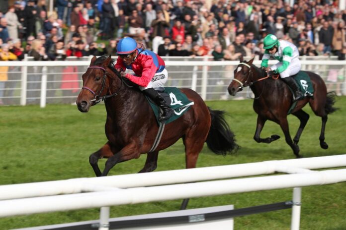 Mystic Charly siegt unter Eduardo Pedroza