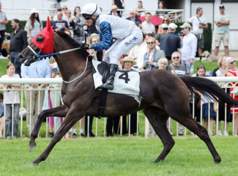 Hoppegarten, Naughty Peter mit Adrie de Vries beim Aufgalopp