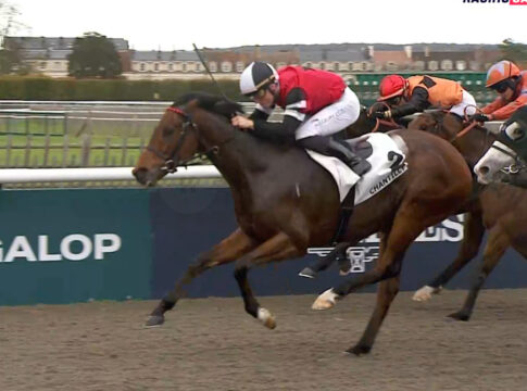 Newkidontheblock Foto: Screenshot (Equidia)