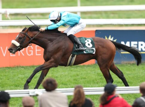 Niclas siegt unter Michal Abik