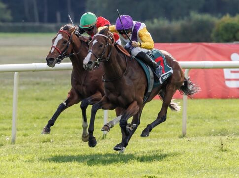 Santagada siegt unter Adrie de Vries im 35. WETTSTAR.de - Preis der Deutschen Einheit Gr.3