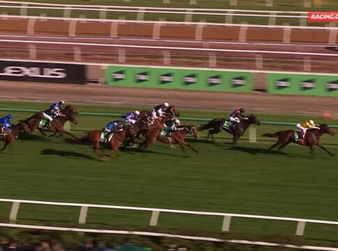 Sir Delius bei seinem Sieg im Test