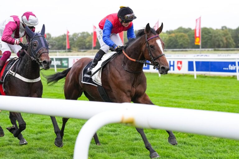 Schlenderhanerinnnen Sorceress und Galaxy bei Tattersalls verkauft Schlenderhanerinnnen Sorceress und Galaxy bei Tattersalls verkauft