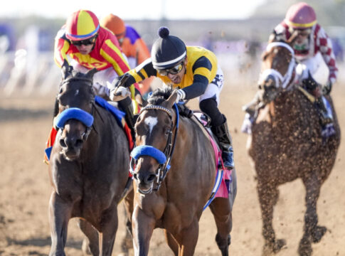 Super Corredora super im Juvenile Fillies Super Corredora super im Juvenile Fillies