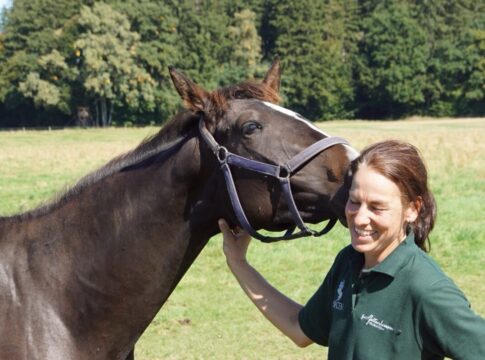 Tag der Gestüte Jettenhausen
