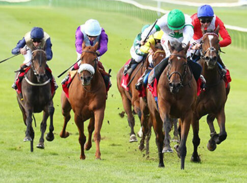 Tamfana (2.v.re.) Foto: Pressemittelung Tattersalls