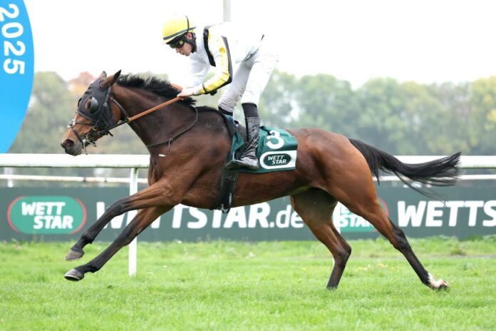 Unex Friendly siegt unter Matthew S. Johnson