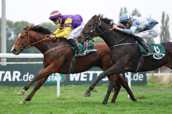 Willy Campbell siegt unter Thore Hammer-Hansen