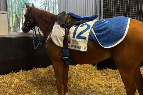 Flatten the Curve in Australien