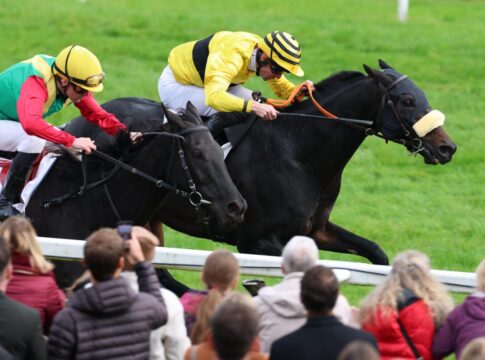 Viele deutsche Elemente bei Saudi-Arabien-Nennungen Rashford bei seinem Iffezheimer Gruppesieg