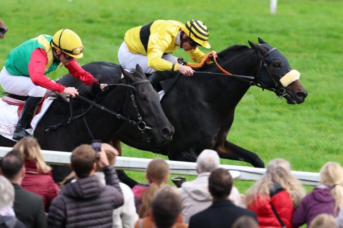 Rashford bei seinem Iffezheimer Gruppesieg