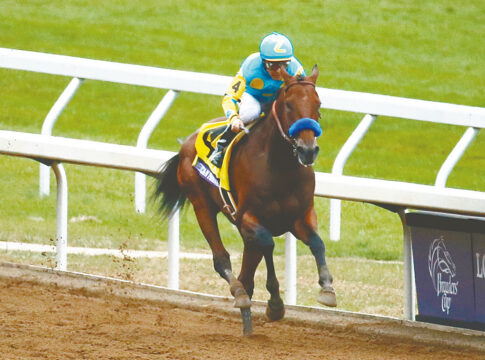 American Pharoah unter Victor Espinoza Foto: Breeders' Cup/Todd Buchanan