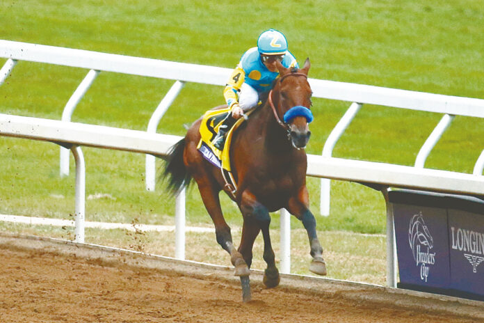 American Pharoah unter Victor Espinoza Foto: Breeders' Cup/Todd Buchanan