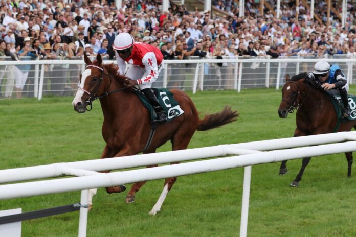 Sommersby siegt unter Eduardo Pedroza