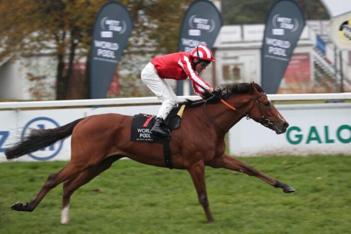 Bay City Roller siegt unter Adrie de Vries im Großen Allianz Preis von Bayern