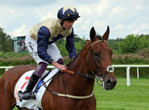 Hamburg, Convergent mit Clifford Lee beim Aufgalopp