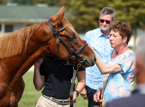 Daytona bei der BBAG im Jahr 2024