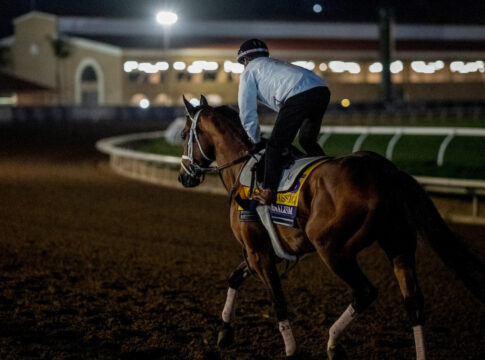 Journalism Foto: Carlos J. Calo/Eclipse Sportswire/Breeders Cup