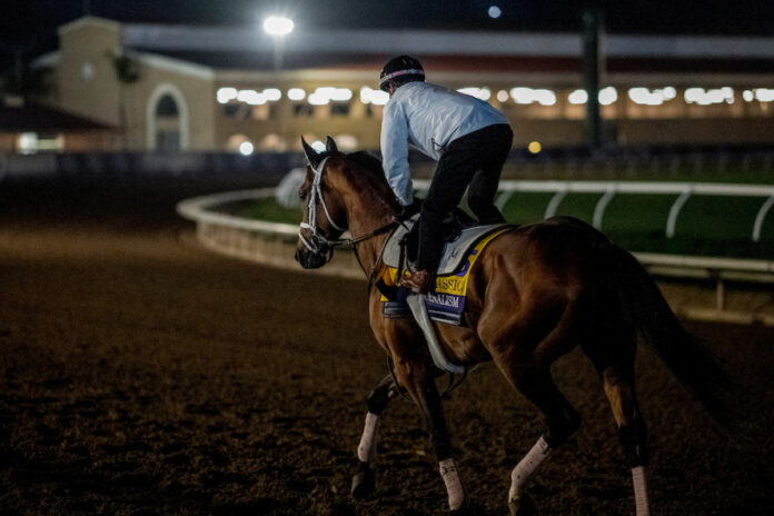 Journalism Foto: Carlos J. Calo/Eclipse Sportswire/Breeders Cup