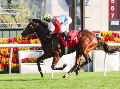 Ka Ying Rising (Foto HKJC)