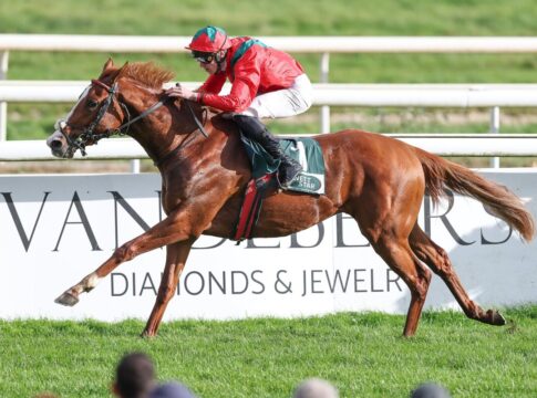 Wild River siegt unter Leon Wolff