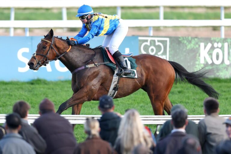 Recke feiert 1700 Siege auf der Flachen – Boysen sammelt Punkte