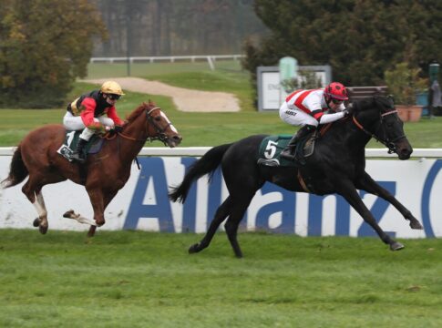 Laminaria siegt unter Michael Cadeddu