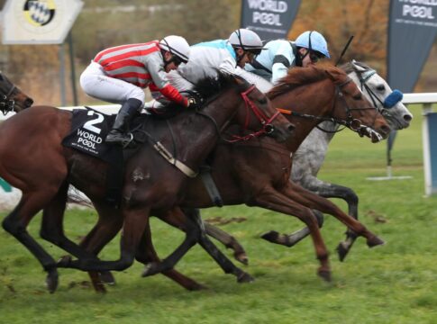 Der Schimmel Mr. Jury Twister siegt unter Leon Wolff