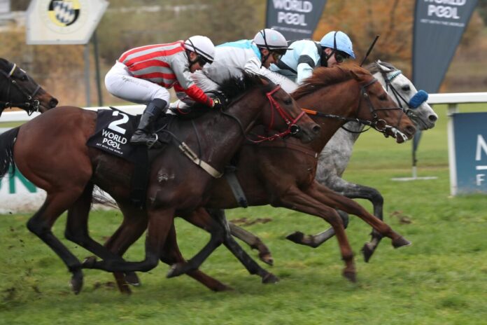 Der Schimmel Mr. Jury Twister siegt unter Leon Wolff